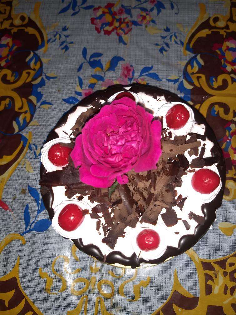 fnpCakes \u0027n\u0027 more, Civil Lines, Allahabad , Zomato